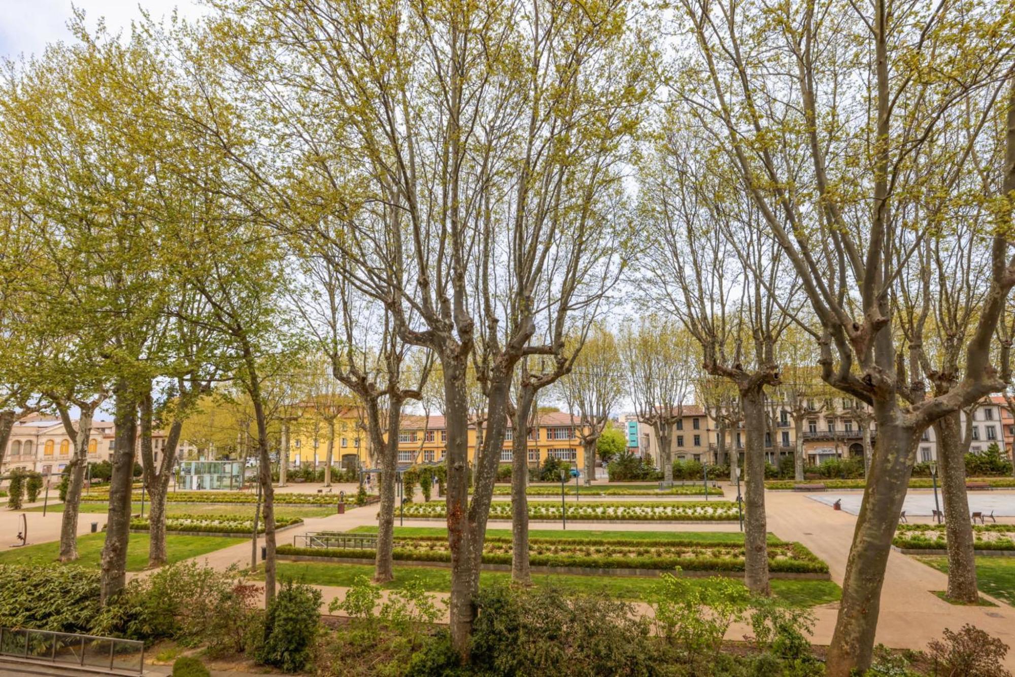 L'Art De Gambetta Conciergeriedamecarcas Apartment Carcassonne Exterior foto